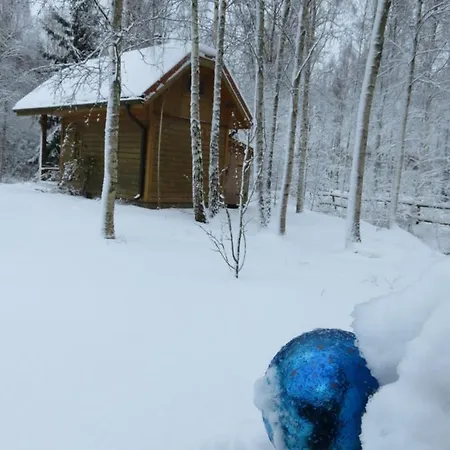 Holiday home Leveri